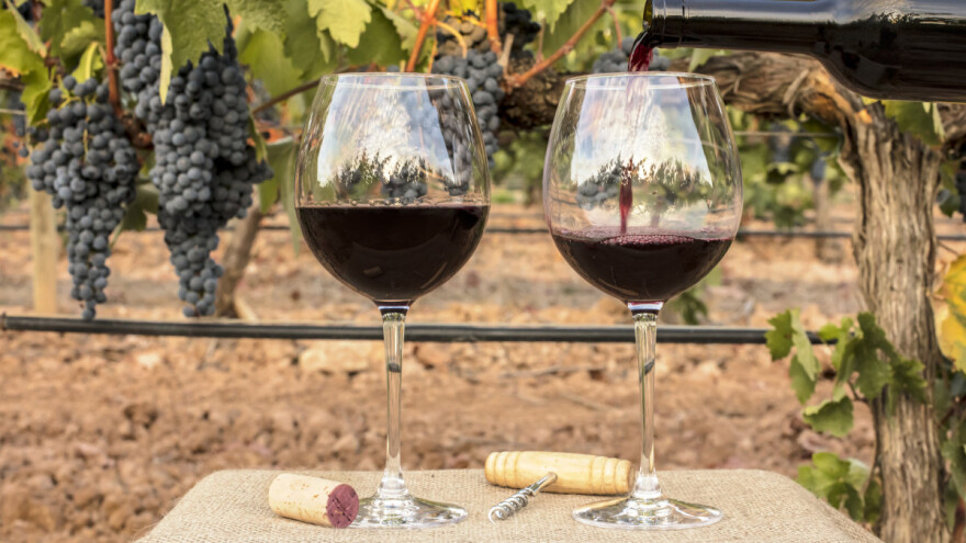 Krajem studenog objava natječaja iz Nacionalnog programa pomoći sektoru vina