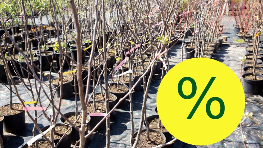 Počela akcijska prodajna sezona u Rasadniku Karolina!