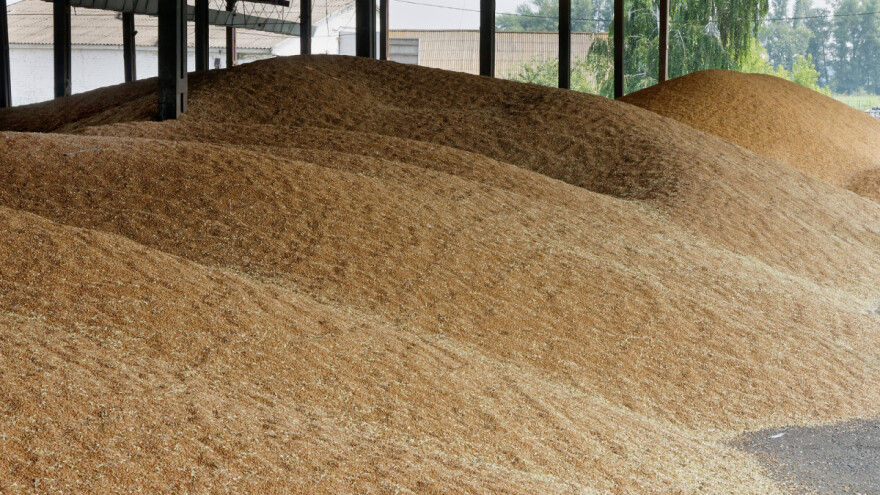 Saković: Domaći ratari neće biti ugroženi uvozom pšenice