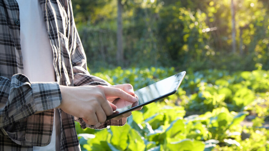 Šta se dobija vođenjem knjigovodstva na poljoprivrednom gazdinstvu?