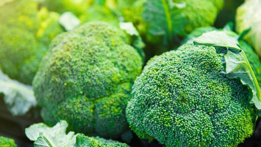 Manja sadnja i tuča doveli do manjka brokule na tržištu?