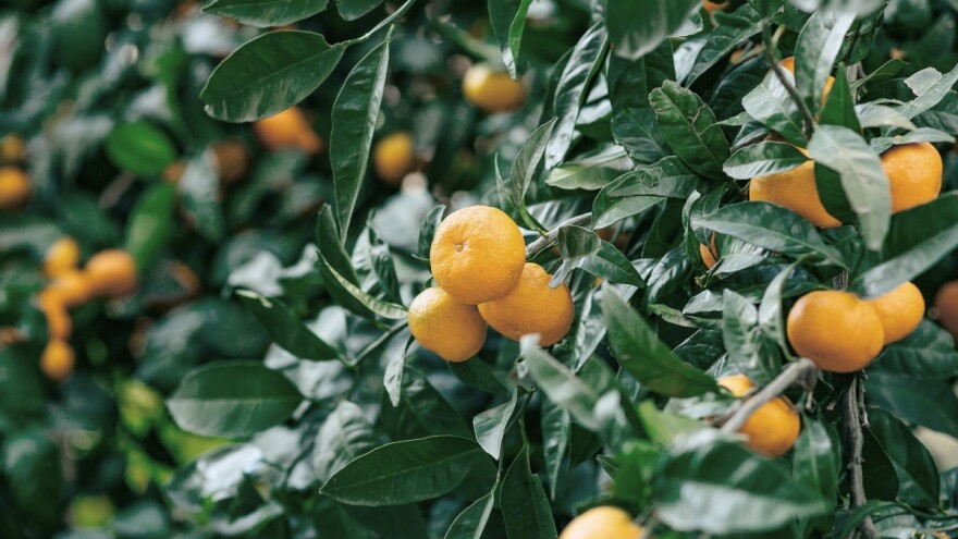 Zatražili dopune programa IAKS mjera, ali i uvođenje aktivnosti "Održavanje pokosa-brna"