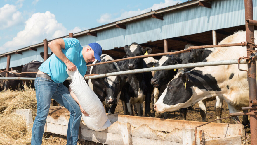 Šta je donela poslednja izmena Uredbe o raspodeli podsticaja?