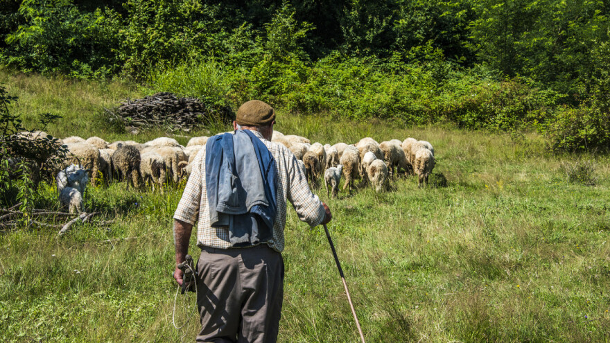 Velika očekivanja poljoprivrednika od ministarstva, a malo nade?