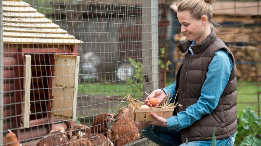 Sve veći broj žena postaju nosioci poljoprivrednog gazdinstva