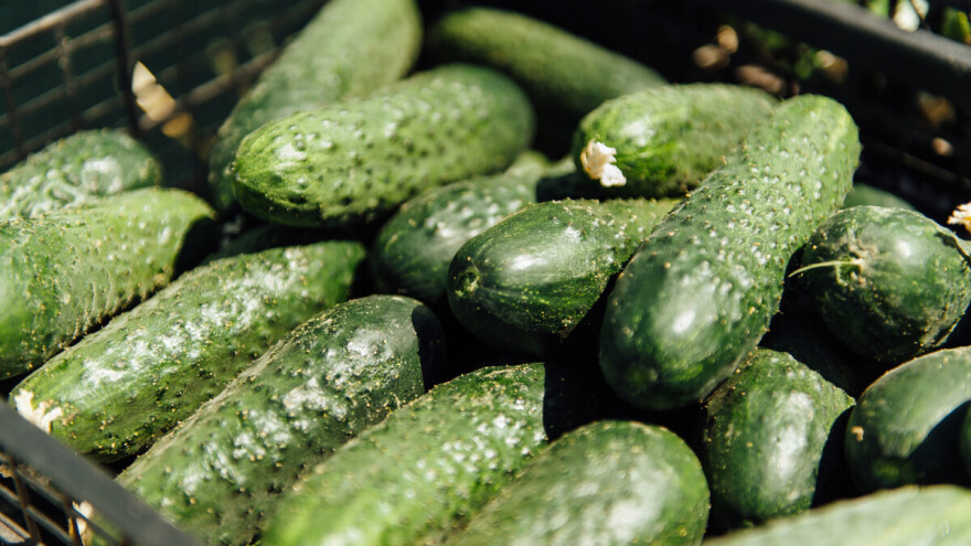 Republika Srpska zabranila uvoz 20 tona kornišona iz Srbije