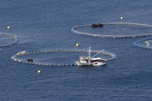 Za ribarstvo i akvakulturu otvoreno 5 novih natječaja vrijednih 274 milijuna kuna