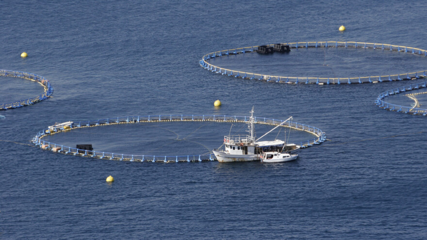 Za ribarstvo i akvakulturu otvoreno 5 novih natječaja vrijednih 274 milijuna kuna