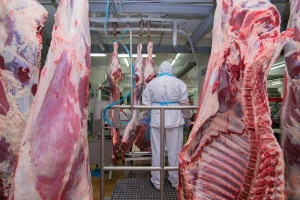 Prognoze EK: Očekuje se dalji rast izvoza mesa, mlečnih prozvoda i maslinovog ulja