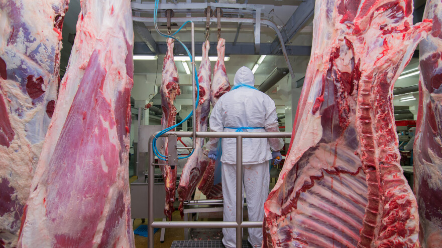 Sve manje goveda u klanicama, a više ovaca?