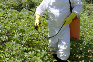 Kako smanjiti toksično dejstvo pesticida na zdravlje, ali i životnu sredinu?