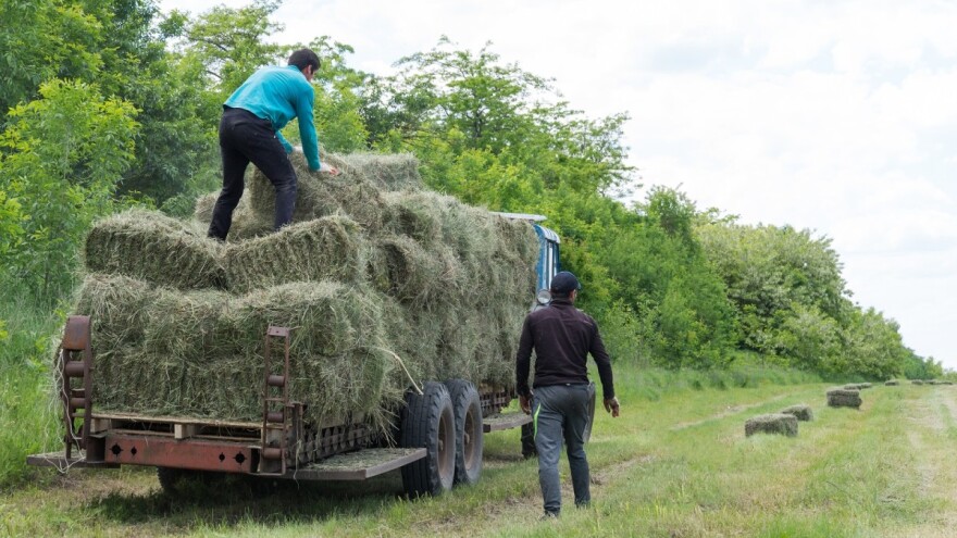 Uz elektronsku prijavu sezoncima i osiguranje
