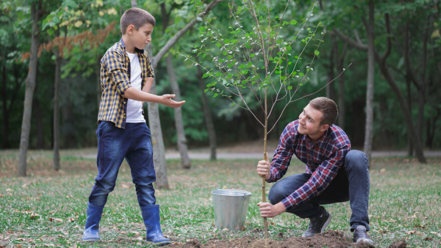 Svečano pošumljavanje u ZDK i Donjem Vakufu za Međunarodni dan šuma