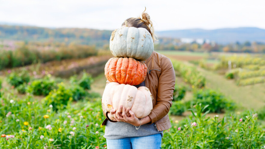 Andreja Petrović: Povratak stvarnoj iskonskoj poljoprivredi zapravo je rješenje brojnih ljudskih problema