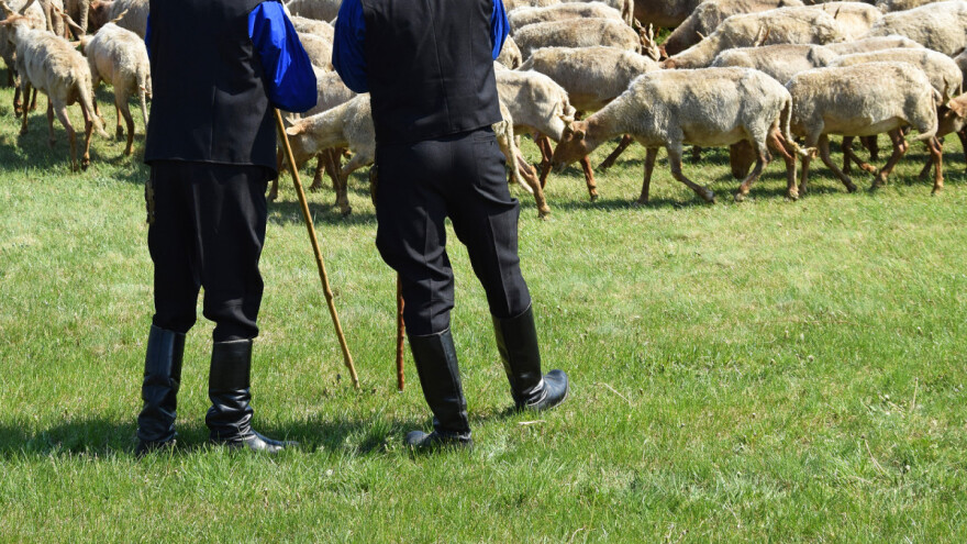 Potpore svinjogojcima, ovčarima i kozarima, oračima te vinogradarima i vinarima