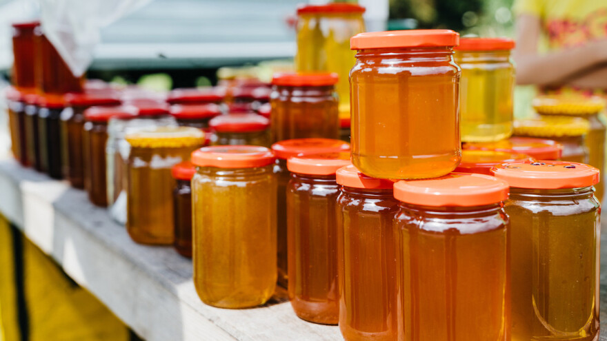 Nacrt prijedloga Programa Školski medni dan s hrvatskih pčelinjaka