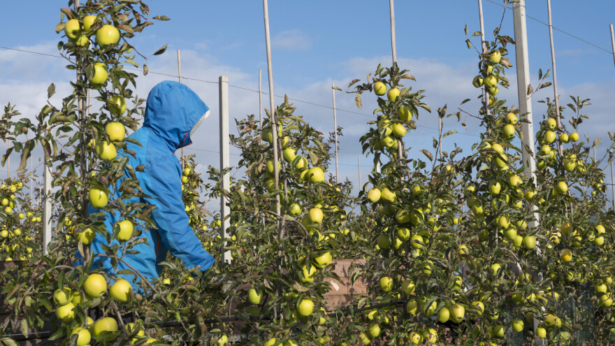 Rien: Proizvođači su necijenjeni, godinama su na dnu lanca opskrbe. To se mora mijenjati!