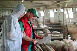 Dopuna Pravilnika o uvjetima kojima moraju udovoljavati veterinarske organizacije