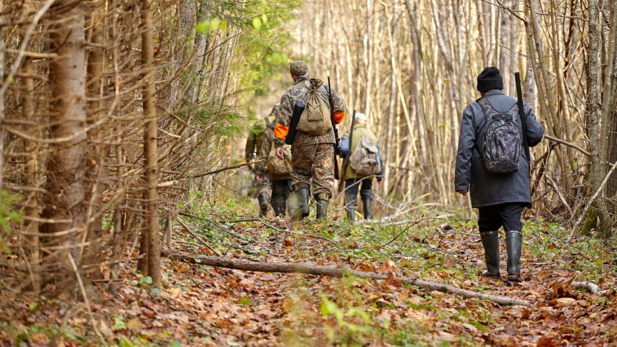 DZS: Lani odstrijeljeno gotovo 40.000 divljih svinja