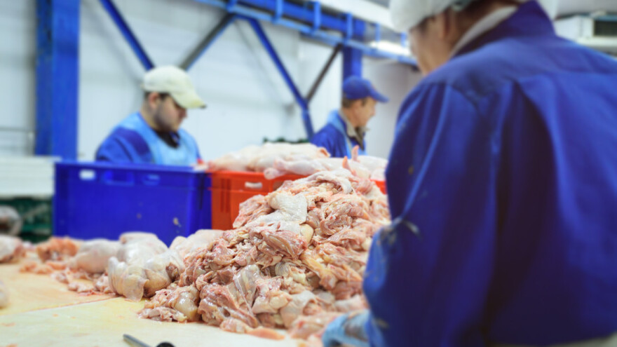 Pala cijena pilećih trupova