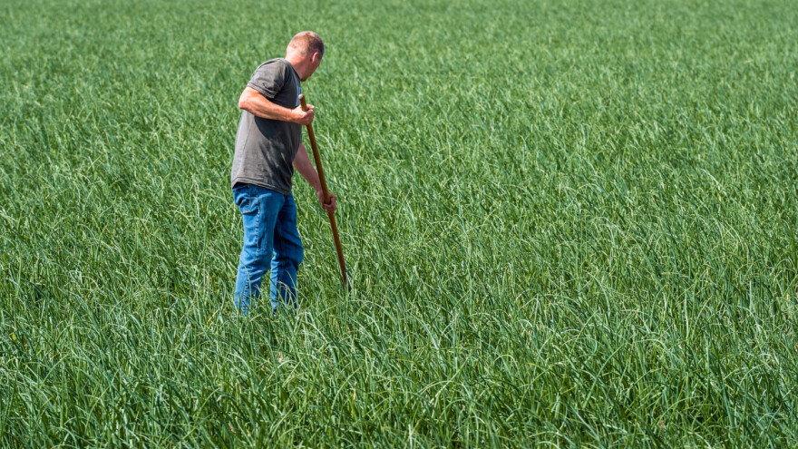 Šta se očekuje u daljem radu ministarstva poljoprivrede?