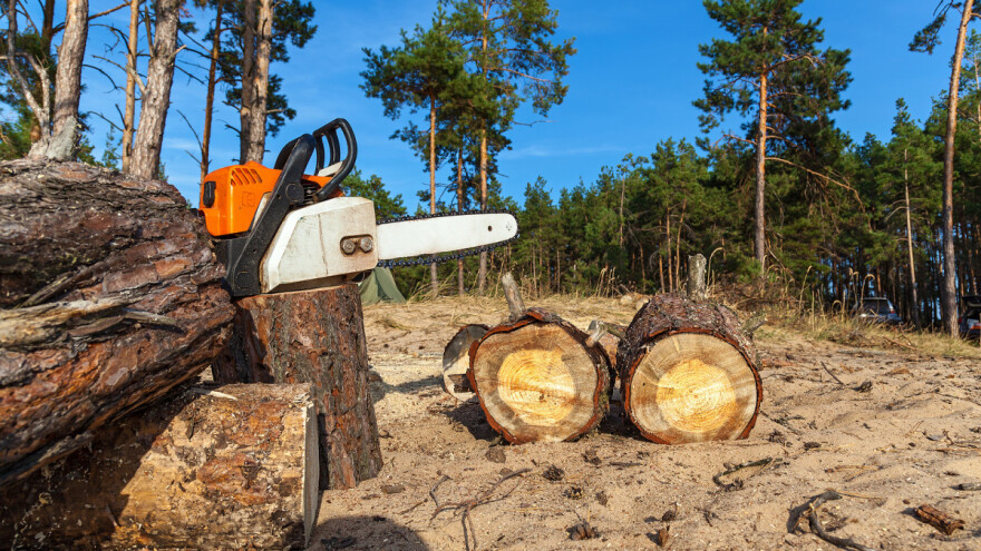 Stiže zakon koji će spriječiti uvoz proizvoda povezanih sa krčenjem šuma izvan EU