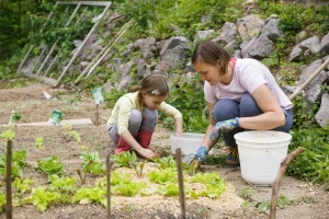Biljke koje privlače korisne i odbijaju štetne insekte