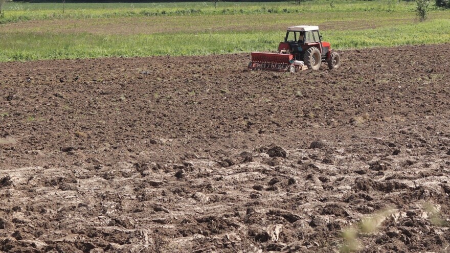 Koliko je površina u FBiH zasijano jesenas?
