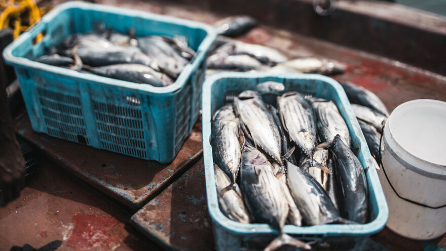 Agrifish: Covid mjere pomoći za ribarstvo i za dodatnih 6 mjeeci?