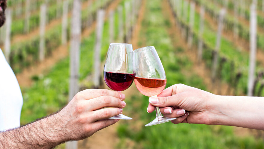 Ministarstvo poljoprivrede: Upišite se u Vinarski i Vinogradarski registar