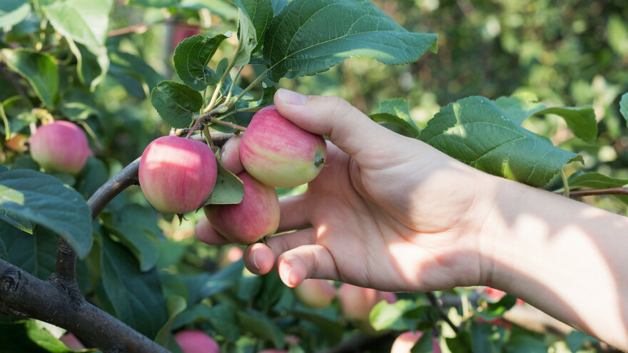 Uskoro Javni poziv u oblasti prerađivačke industrije - izdvojeno do 2 miliona KM