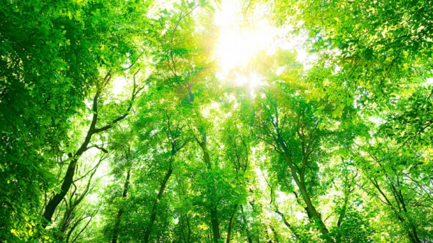 Održivi razvoj turizma