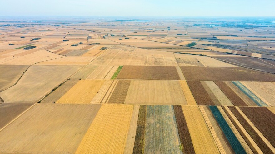 Zakup skoro 1.700 ha državnog poljoprivrednog zemljišta u Baču - drugi krug