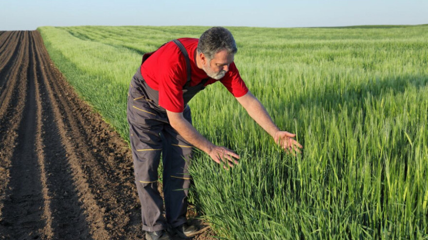 Inatreq™ Active - novi fungicid za strna žita!