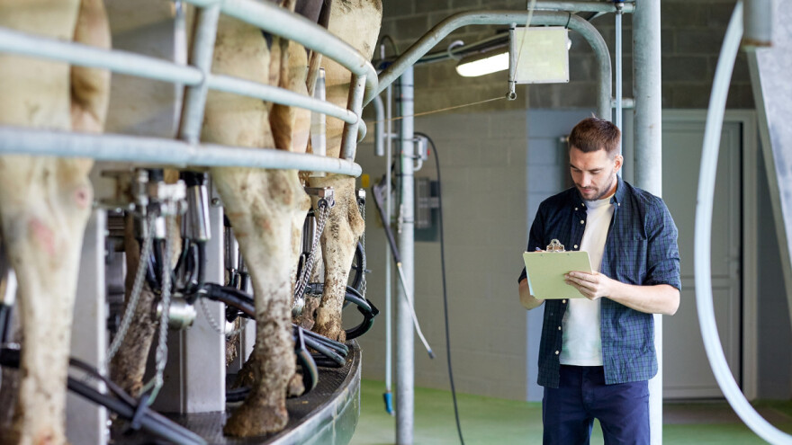 Mlekarski sektor: Ukrajina ima ambiciozan plan - velika pomoć stiže od države?