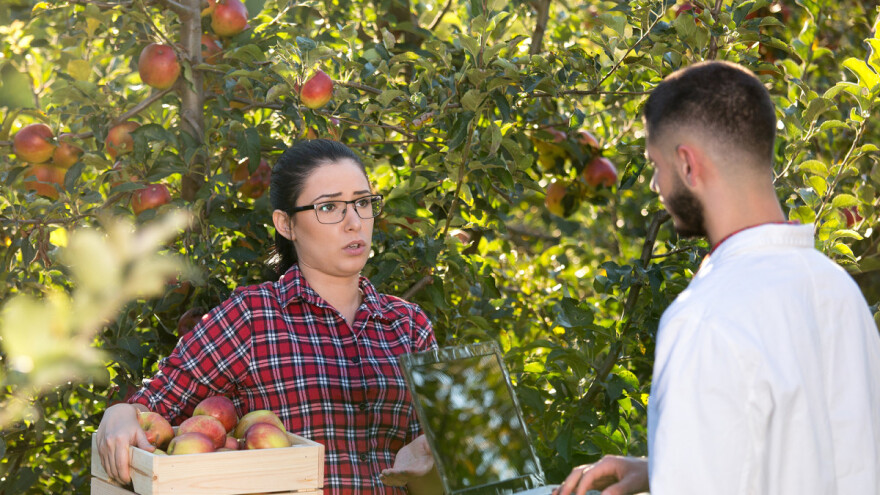 Važno: Bliži se krajnji rok za podnošenje Evidencije o prodaji i proizvodnji (S)OPG-a!