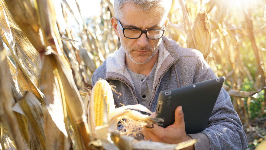 Uz eAgrar lakše registrovanje gazdinstva i konkurisanje za subvencije