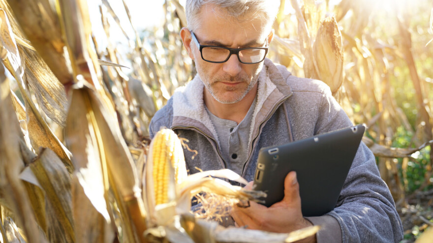 Prijavite se za potporu za provedbu operacije 3.1.1., iznosi su do 15.000 eura!