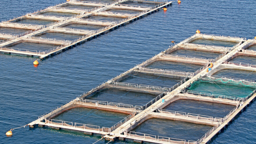 Otvoreno savjetovanje za Mjeru II. 13. Osiguranje akvakulturnih stokova