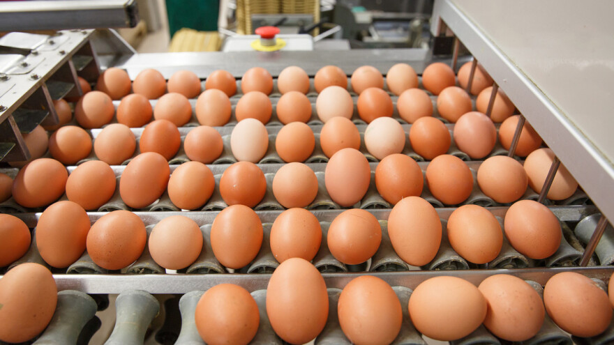 U ožujku više cijene pilećih trupova, neznatna promjena kod jaja