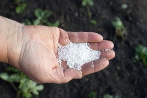 Đubrenje jarih useva na osnovu analize zemljišta