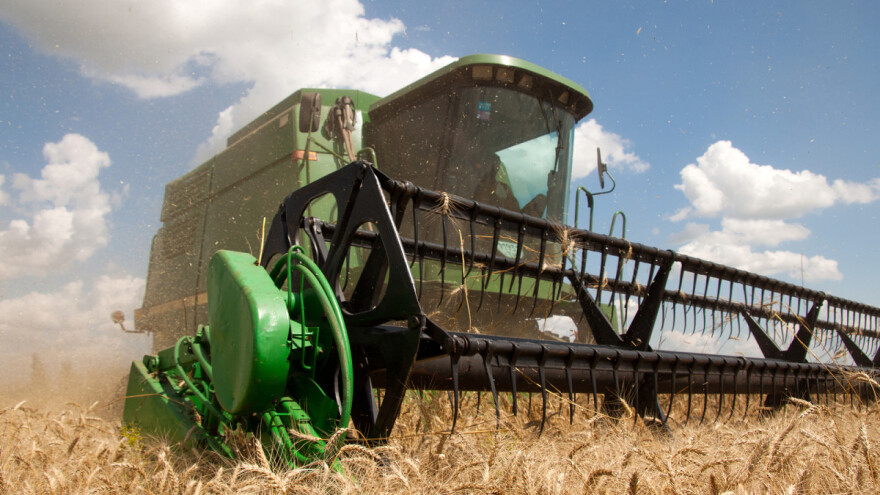 Padaju cijene na svjetskim burzama, kukuruz i dalje skuplji od pšenice