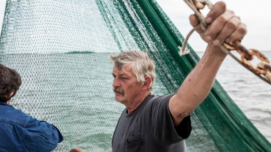 Vani je prijedlog Pravilnika o ograničenjima gospodarskog ribolova na moru koćom, komentirajte