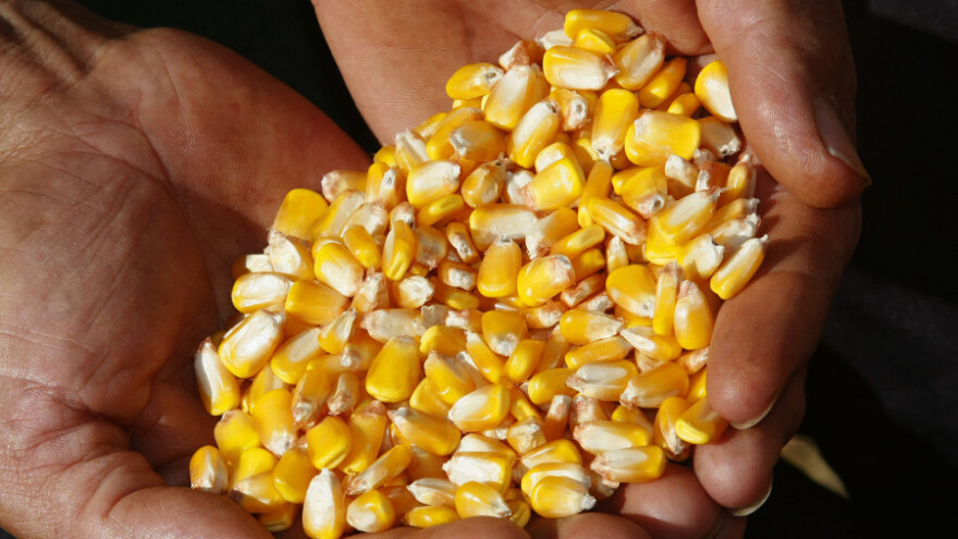 Preciznim sušenjem do uštede energije sušara!