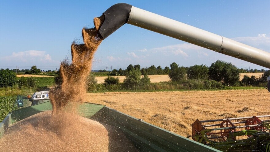 Preporučena otkupna cijena pšenice ovisi o cijeni u Srbiji, a ona najskuplja u regionu