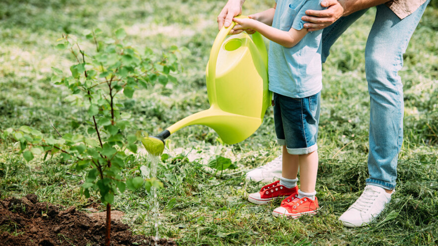 Osnivanje zajedničkog tela za dalje unapređivanje znanja dece o zaštiti životne sredine