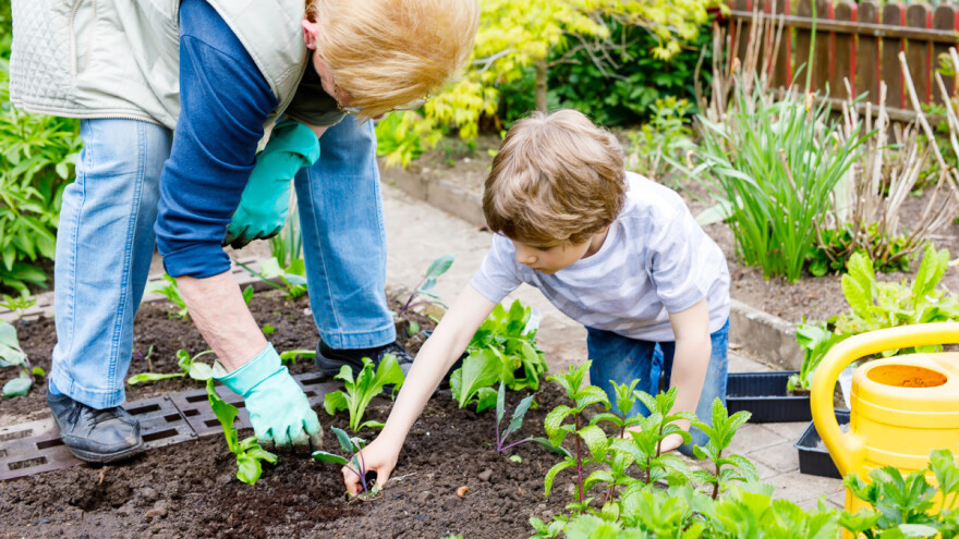 Šta se radi, a šta sadi u martu?