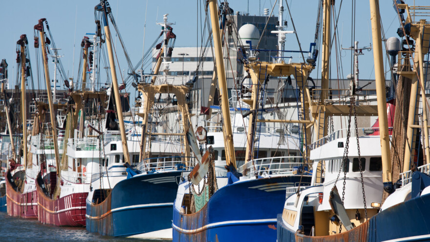 Ovlaštenici povlastica za gospodarski ribolov na moru preuzmite nove knjige očevidnika!