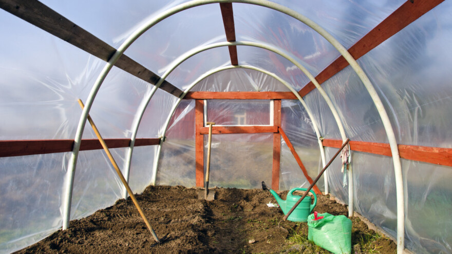 Za podizanje plastenika od Pokrajine 80 miliona dinara