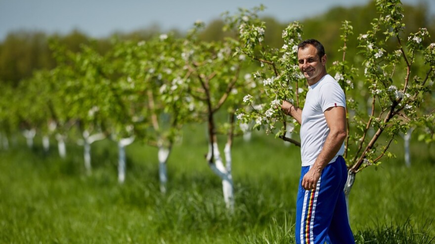 Do 65 odsto povraćaja za podizanje višegodišnjih zasada voća i hmelja